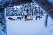 Familie mit Rentierschlitten, Santa Claus Village, Rovaniemi, Lappland, Finnland, Europa.