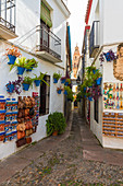 Calleja De Las Flores, famous flower pot lined street in the historic centre, Cordoba, Andalusia, Spain