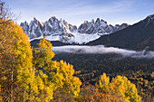 a view of an autumnal sunset in Villn?ssertal, with yellow trees and the Geisler Group in the background, Bolzano province, South Tyrol, Trentino Alto Adige, Italy