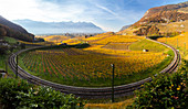 Blick auf eine Eisenbahnbiegung auf dem Weg zum mittelalterlichen Schloss Aigle und den umliegenden herbstlichen Weinbergen, Kanton Waadt, Schweiz