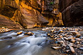 Virgin Fluß in den Narrows, Zion National Park, Utah, Notrh Amerika, USA