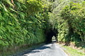 Okau Road tunnel in the Tongaporutu River valley, Ahititi, New Plymouth District, Taranaki Region, North Island, New Zealand.