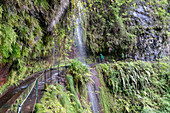 Two hikers walking towards a waterfall in Levada do Rei walk. Sao Jorge, Santana municipality, Madeira region, Portugal.