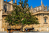 Kathedrale von Sevilla, Andalusien, Spanien, Europa