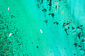 Luftaufnahme von türkisfarbenem Wasser. Le Morne, Schwarzer Fluss (Riviere Noire), Westküste, Mauritius