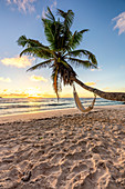 Anse Fourmis, La Digue, Seychelles, Africa