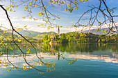 Frame of Bled Island and Lake Bled. Bled, Upper Carniolan region, Slovenia.