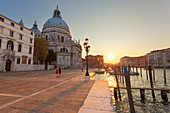 Santa Maria della Salute Basilica at sunset, Venice, Veneto, Italy