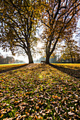 A bench in the autumnal Jenischpark in Nienstedten, Hamburg, Germany