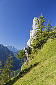 Felsnadel am Pürschling in den Ammergauer Alpen im Hintergrund die Zugspitze, Oberammergau, Oberbayern, Bayern