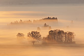 Nebel zum Sonnenaufgang über Kochelseemoos, Großweil, Oberbayern, Bayern, Deutschland