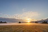 Sonnenaufgang über dem  Kochelseemoos mit Blick zur Benediktenwand, zwischen Großweil, Schlehdorf und Kochel am See, Oberbayern, Bayern