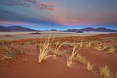 Lichtstimmung zum Sonnenaufgang im Namib Rand Nature Reserve, Namib Naukluft Park, Namibia