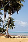 Jetty to the Tropical Dream Beach, A Na Lay Resort, Koh Kood, Koh Kut, Trat, Thailand