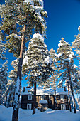Winterlicher Pinienwald mit Holzhaus bei Sonnenschein, Heggenes, Norwegen