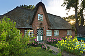 Flower arrangement at the thatched Friesenhaus, Keitum, Sylt, North Sea, Schleswig-Holstein, Germany