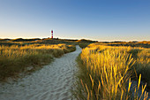 Weg zum Strand, Leuchtturm, Amrum, Nordsee, Schleswig-Holstein, Deutschland