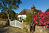 Flower arrangement at the thatched Friesenhaus, Amrum, North Sea, Schleswig-Holstein, Germany