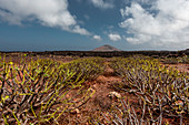 Caldera Blanca Walk to the largest volcanic crater on Lanzarote on the edge of Timanfaya National Park · 458m altitude · Crater 1200m in diameter. Lanzarote, Canary Islands, Spain, Europe