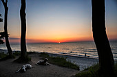 Dogs resting on sunset beach, Wiendorf, Mecklenburg-Vorpommern, Germany