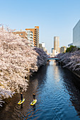 Early morning on the Meguro River, Tokyo, Japan, Asia
