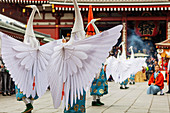Hakucho White Swan (White Heron) festival, Sensoji Temple, Asakusa, Tokyo, Japan, Asia