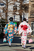 Women wearing kimono, Sensoji Temple, Asakusa, Tokyo, Japan, Asia