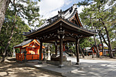 Sumiyoshi Taisha Shinto shrine, one of the oldest in Japan, Osaka, Japan, Asia