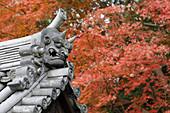 Herbstfarbe um Todaiji Hokkedo in Nara, Japan, Asien