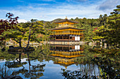 Kinkaku (der goldene Pavillon), UNESCO-Welterbestätte, Kyoto, Japan, Asien