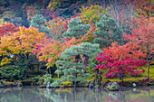 Tenryuji Temple, Sogen Garden, UNESCO World Heritage Site, Arashiyama, Kyoto, Japan, Asia