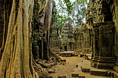 Galerien und Gopura-Eingang am Tempel Ta Prohm des 12. Jahrhunderts, ein Tomb Raider-Filmstandort, Angkor, UNESCO-Welterbestätte, Siem Reap, Kambodscha, Indochina, Südostasien, Asien