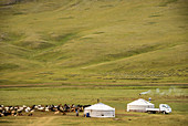 Nomadic herders' ger camp on Steppes grasslands of Mongolia, Asia