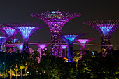 Supertree Grove at night, Garden By the Bay, botanic garden, Marina Bay, Singapore, Southeast Asia, Asia