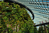 Garden By the Bay, Nebelwald, Botanischer Garten, der höchste künstliche Wasserfall der Welt, Marina Bay, Singapur, Südostasien, Asien