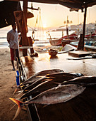 Fish market at dawn, Galle, South Coast, Sri Lanka, Asia