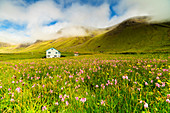 Farmhouse in fields of grass and wild flowers, Gasadalur, Vagar island, Faroe Islands, Denmark, Europe