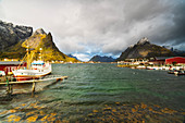 Fischerboote im Hafen, Reine, Nordland, Lofoten, Norwegen, Europa
