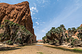Wasserloch, Ennedi-Hochebene, UNESCO-Welterbestätte, Ennedi-Region, Tschad, Afrika