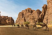 Tiere an einem Wasserloch in einem Felsenamphitheater, Ennedi-Hochebene, UNESCO-Welterbestätte, Ennedi-Region, Tschad, Afrika