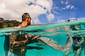 Giant stingray (Dasyatis spp), being fed by local guide in the shallow waters of Stingray City, Society Islands, French Polynesia, South Pacific, Pacific