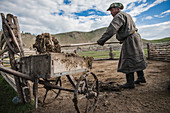 Mongolischer Hirte bei Stallreinigung, Lapis Sky Camp, Bulgan, Zentralmongolei, Mongolei