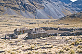 Eine Farm hoch in den bolivianischen Anden auf über 30.000 Metern Höhe