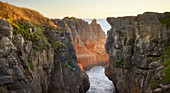 Pancake Rocks, West Coast, Südinsel, Neuseeland, Ozeanien