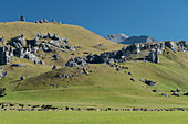 Castle Hill, Canterbury, Südinsel, Neuseeland, Ozeanien