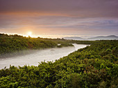 Fox River near Fox Glacier, South Island, New Zealand, Oceania