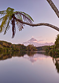 Tree Fern, Lake Mangamahoe, Mount Taranaki, North Island, New Zealand, Oceania