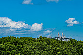 Trees in front of Sacre-Coeur in Paris, France