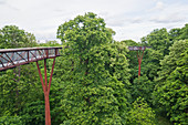 Baumsteg in den Kew Gardens, London, England, Großbritannien
