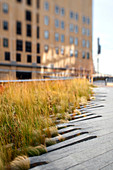 The High Line Park, USA